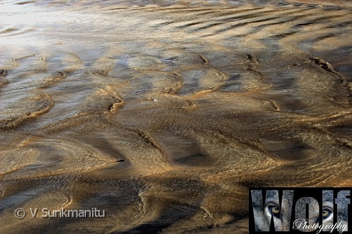 SWM 013 Copyright Villayat Sunkmanitu.jpg
